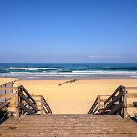 La Cabane Maddyblue 5 Min A Pieds De L'Ocean Et Commerce Mimizan Exterior photo